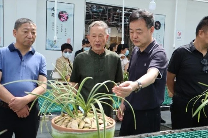 【鄉(xiāng)村振興】紅蓮村里看蘭花，蘭園繁育項目讓村民致富有了新路子！